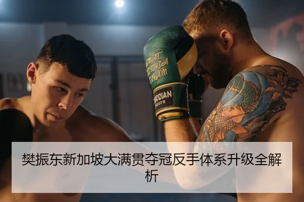 樊振东新加坡大满贯夺冠反手体系升级全解析